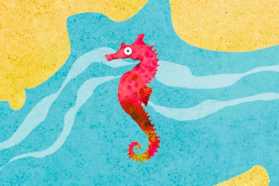 Do you know where seahorses swim?