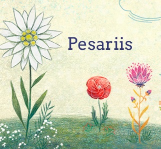 Pesariis_preview