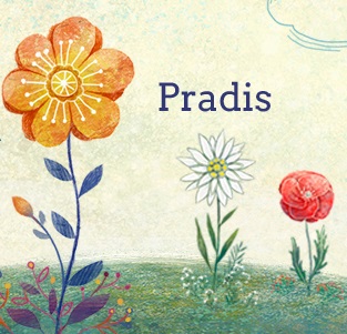 Pradis_preview