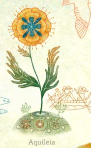 aquileia