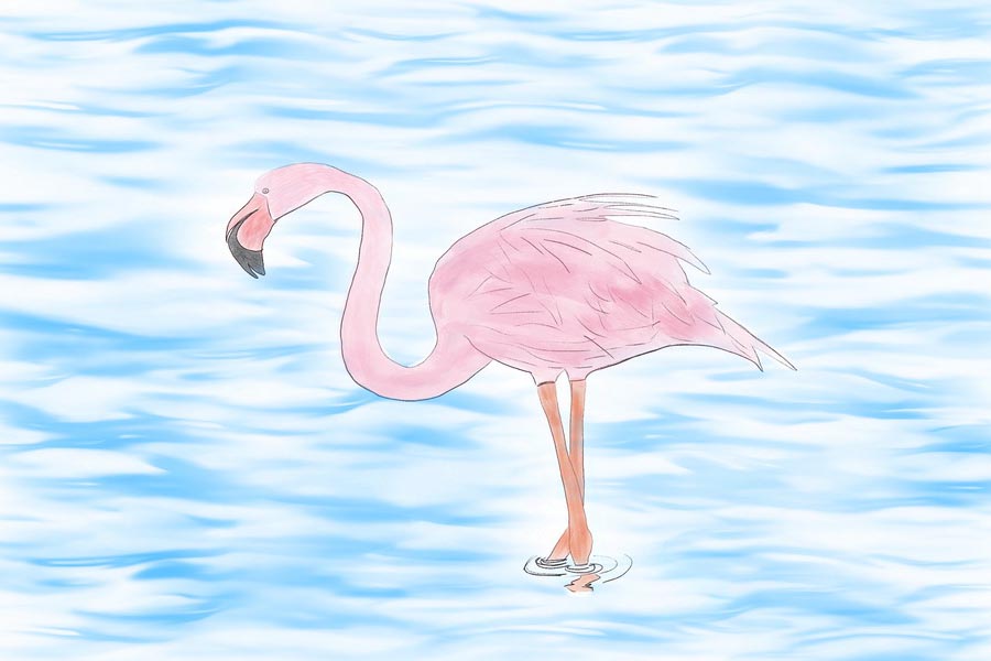 I Fenicotteri rosa nella Laguna di Marano