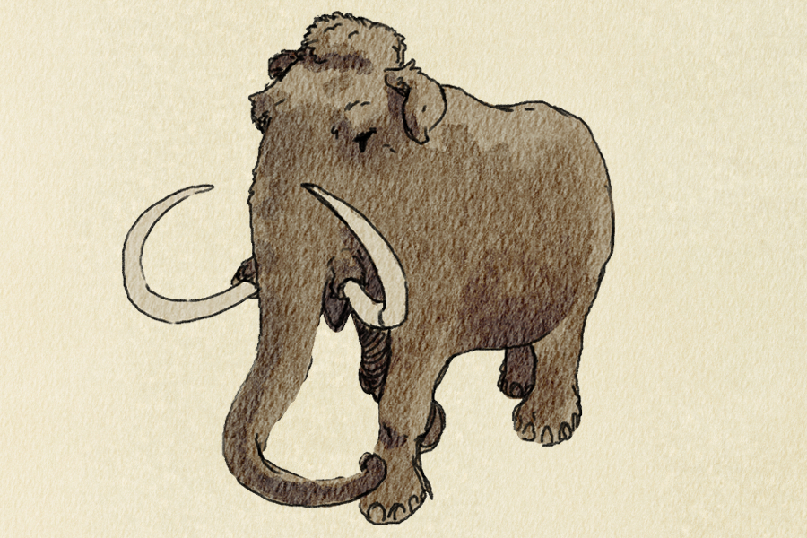 Sai dove puoi trovare un mammut in città?