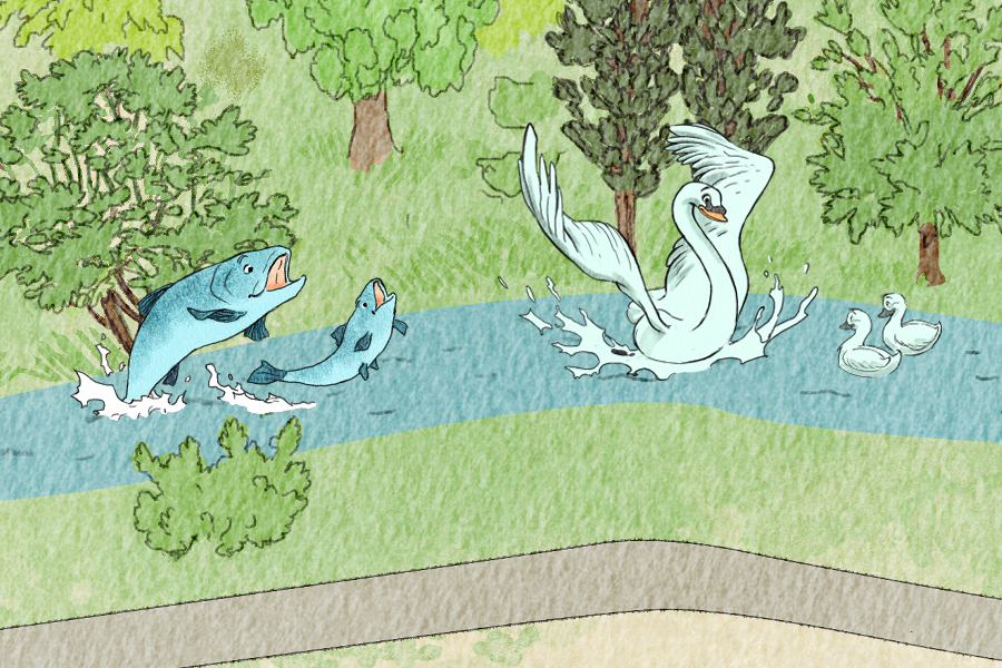 Sai perché Pordenone si chiama così?