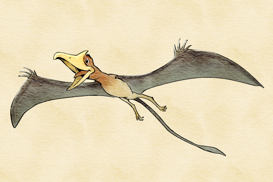 Sai chi erano gli pterosauri?