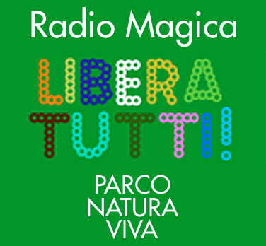 rmlt-natura-viva