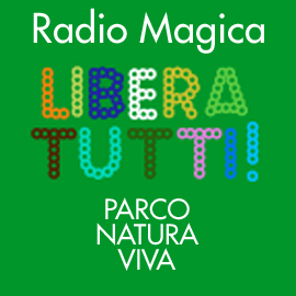verde3