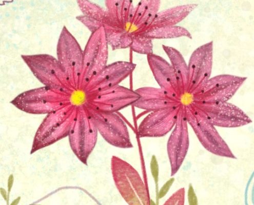 Carnia 3